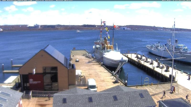 Museum Wharves