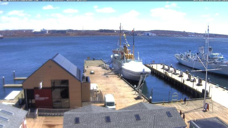 Museum Wharves