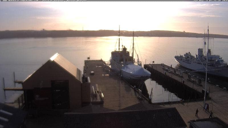 Museum Wharves