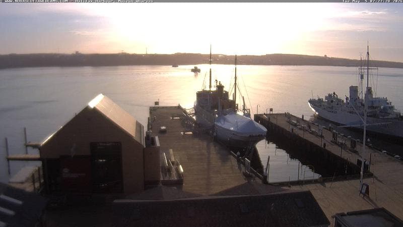 Museum Wharves