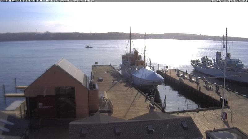 Museum Wharves
