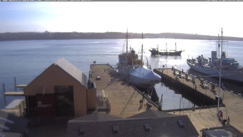 Museum Wharves