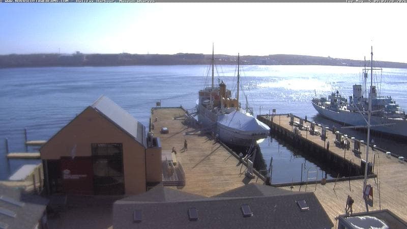 Museum Wharves