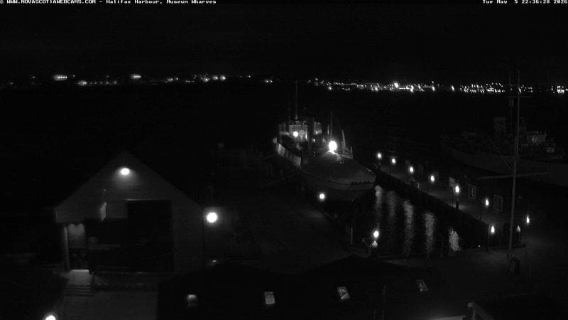 Museum Wharves