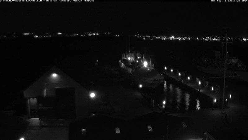 Museum Wharves