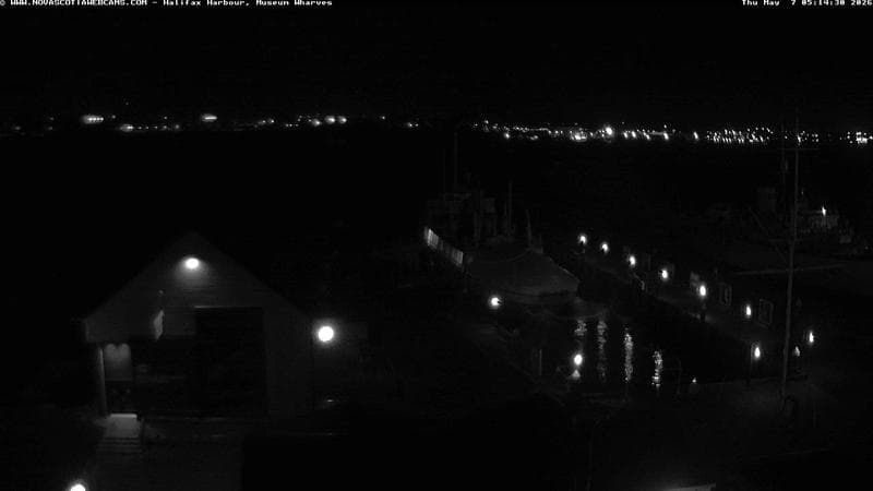 Museum Wharves