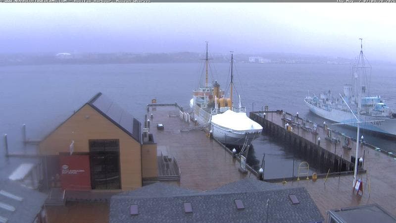 Museum Wharves