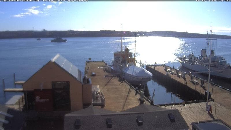 Museum Wharves