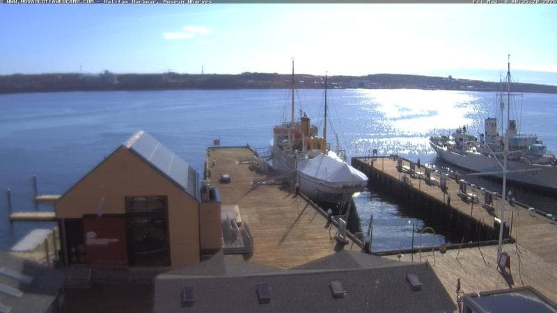 Museum Wharves