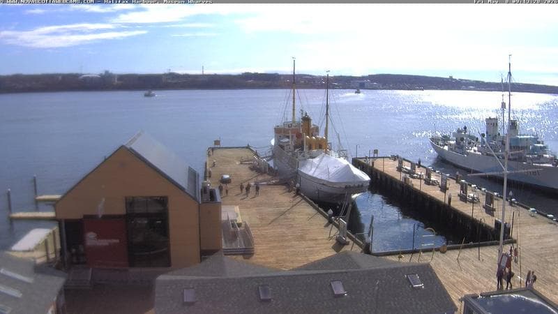 Museum Wharves