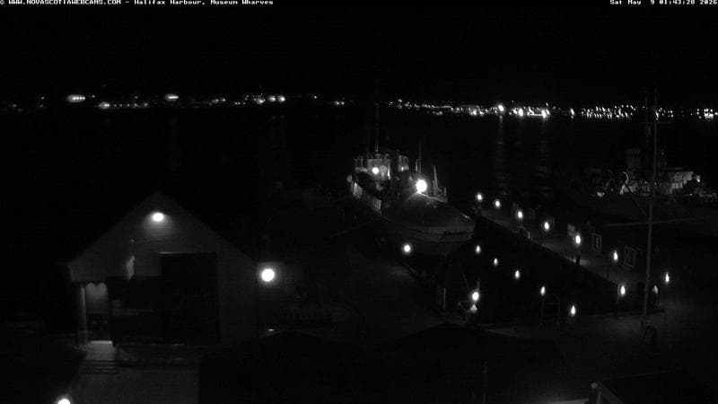 Museum Wharves