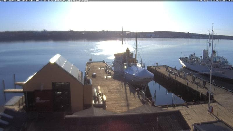 Museum Wharves