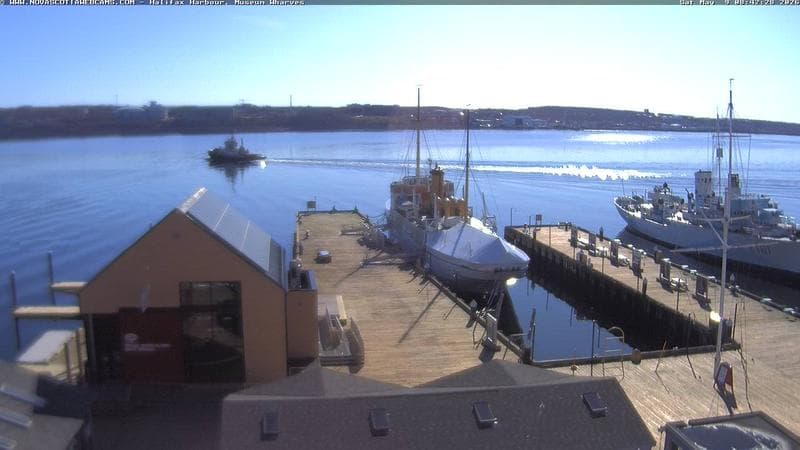 Museum Wharves