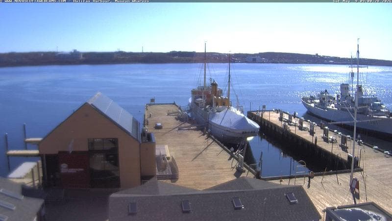 Museum Wharves
