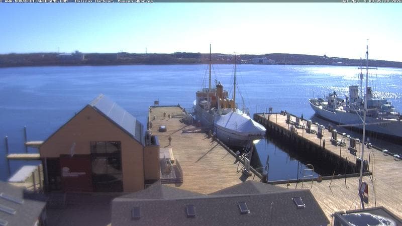 Museum Wharves