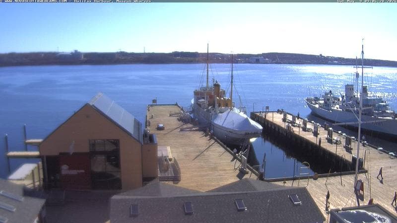 Museum Wharves
