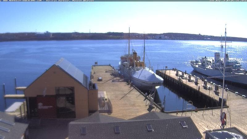 Museum Wharves