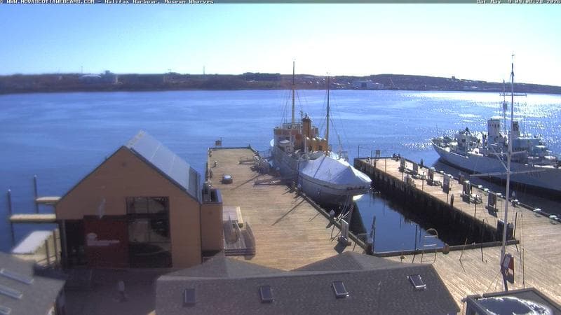 Museum Wharves