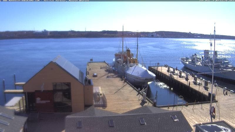 Museum Wharves