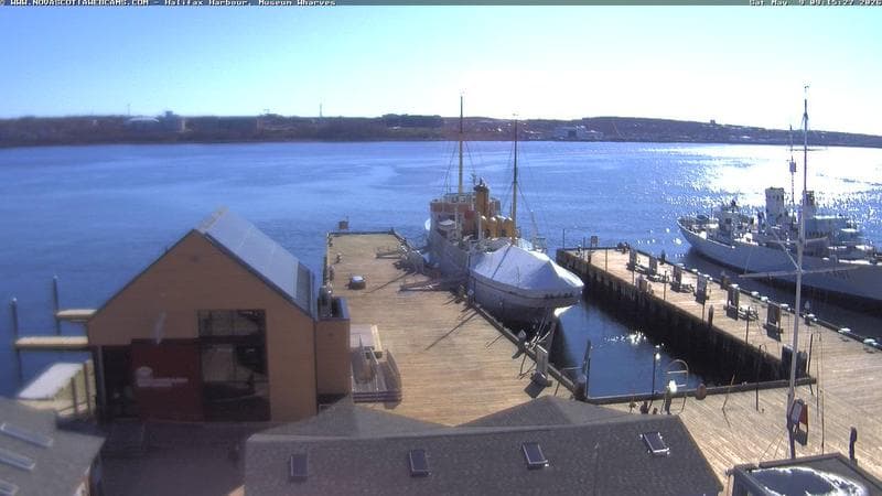 Museum Wharves