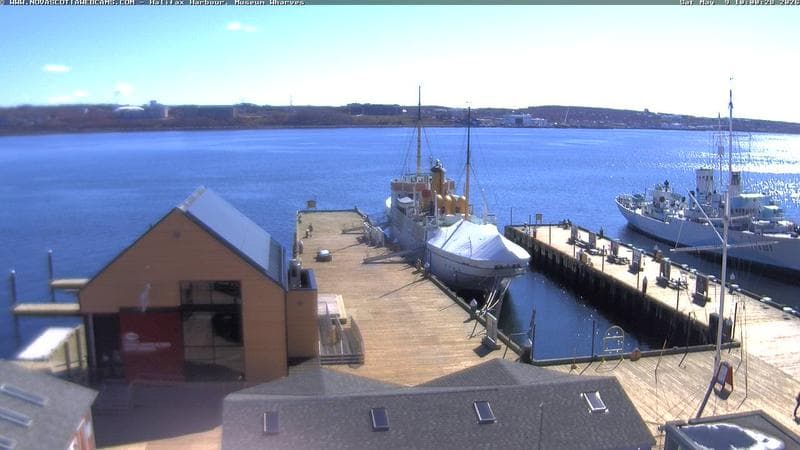 Museum Wharves