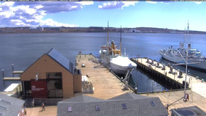 Museum Wharves