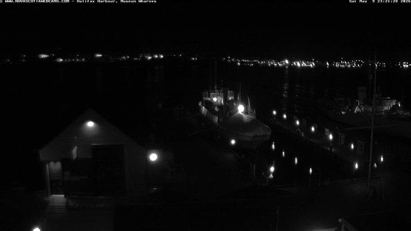 Museum Wharves