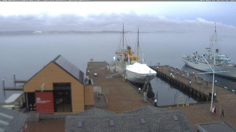 Museum Wharves