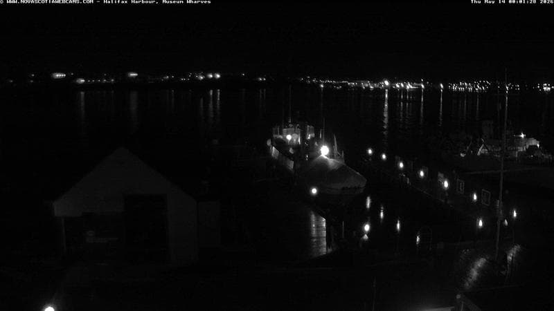 Museum Wharves