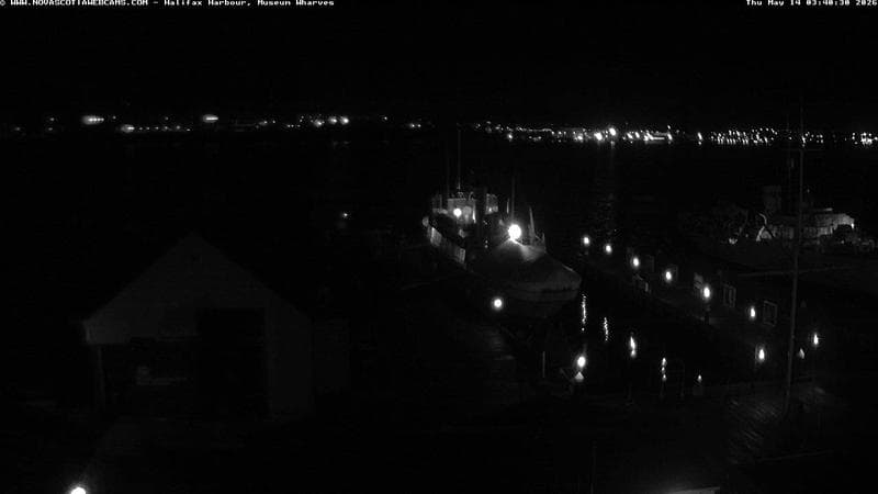 Museum Wharves