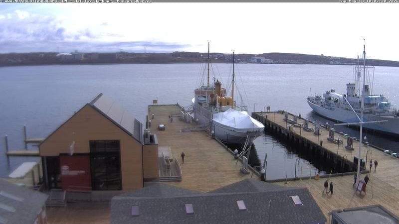 Museum Wharves