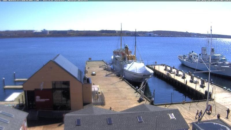 Museum Wharves
