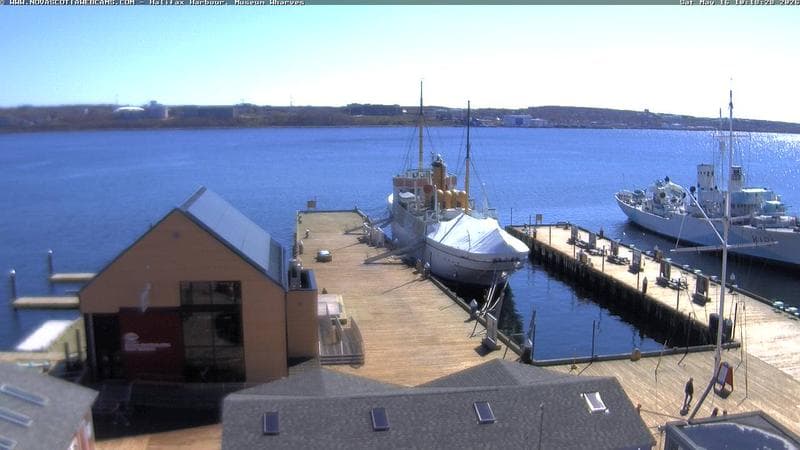 Museum Wharves
