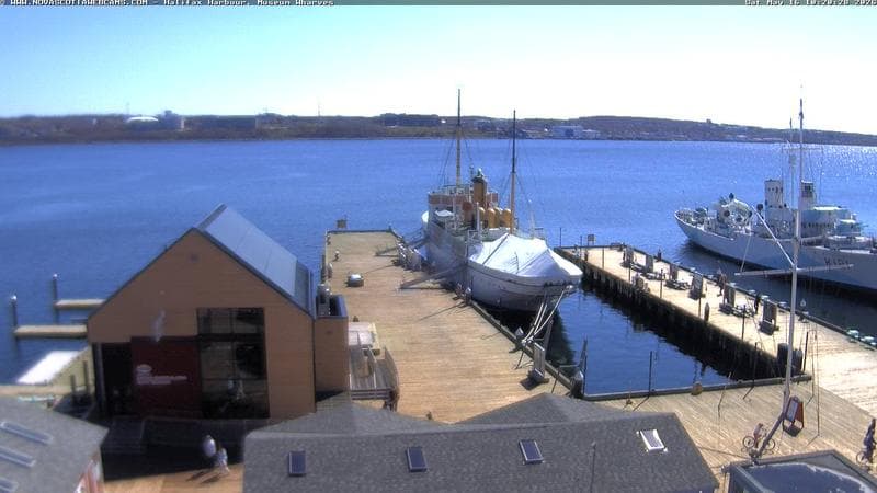 Museum Wharves