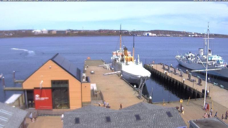 Museum Wharves