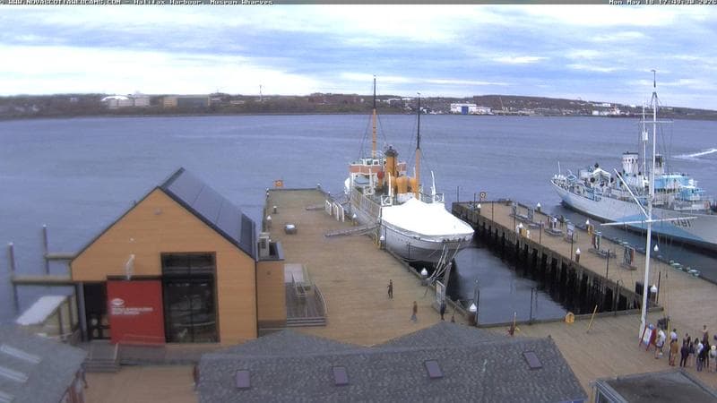 Museum Wharves
