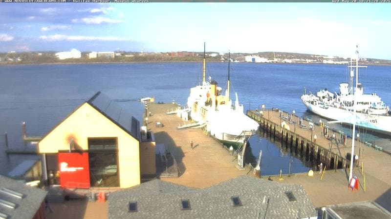 Museum Wharves