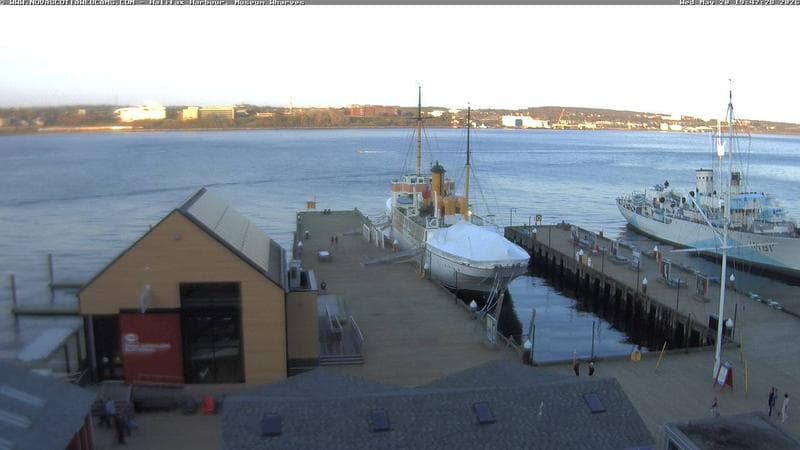 Museum Wharves
