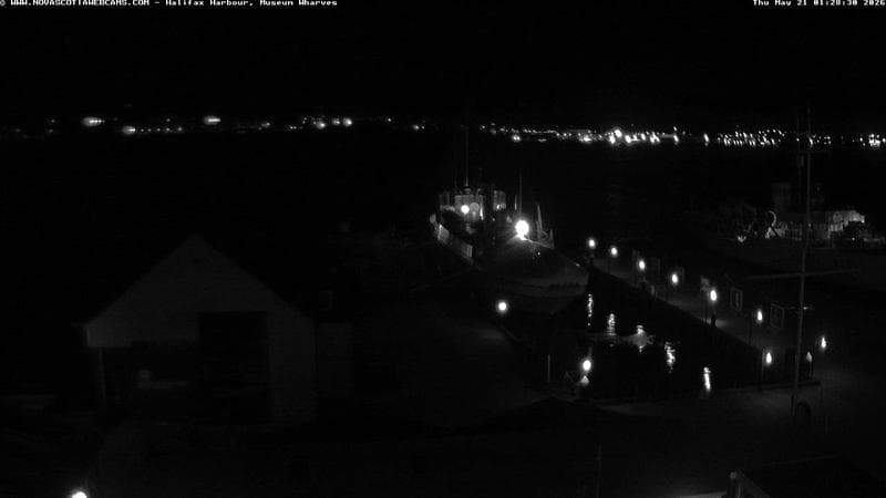 Museum Wharves