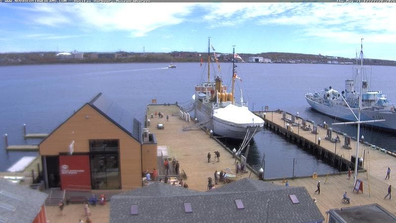 Museum Wharves