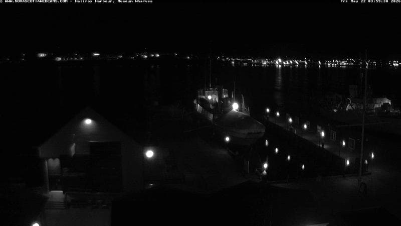Museum Wharves
