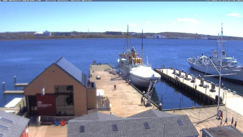 Museum Wharves