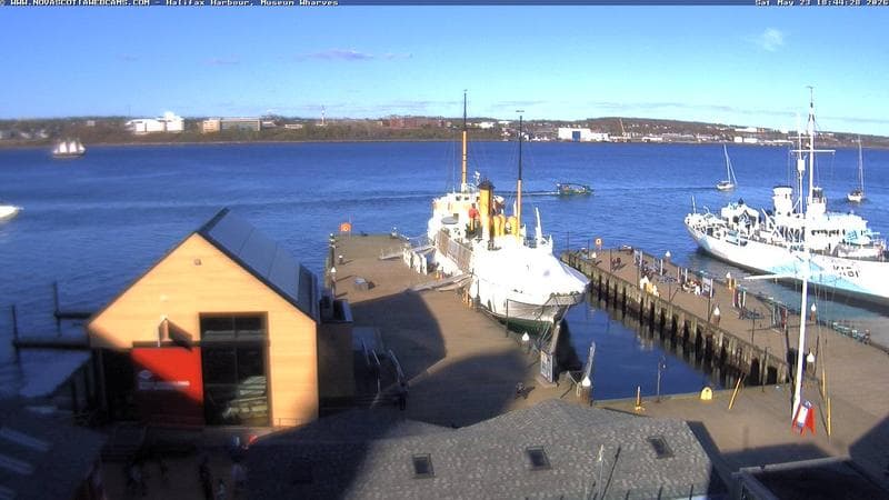 Museum Wharves