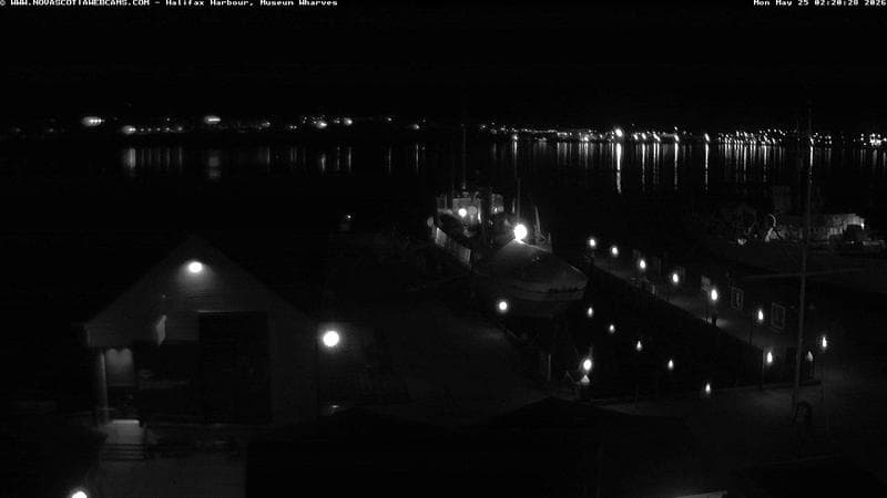 Museum Wharves