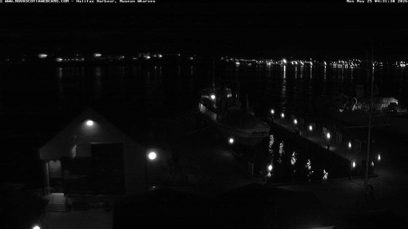 Museum Wharves