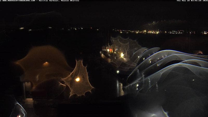 Museum Wharves