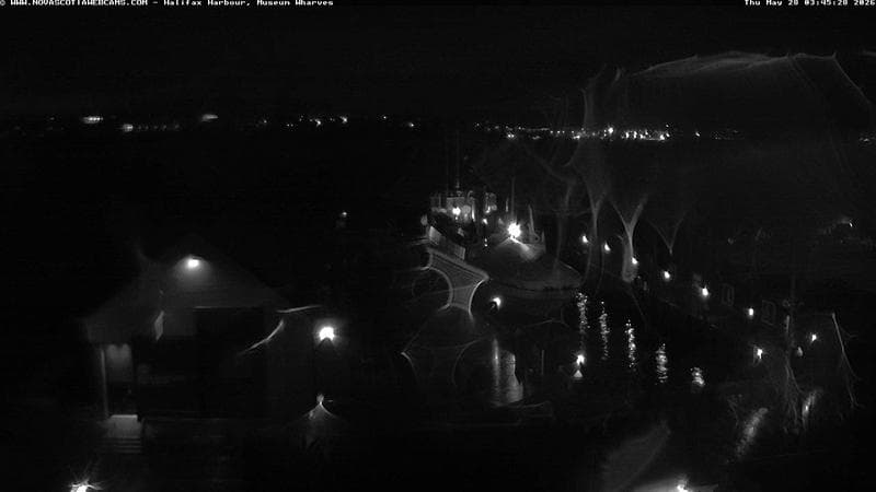 Museum Wharves