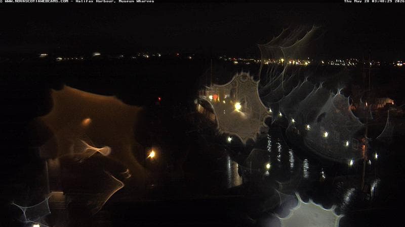 Museum Wharves