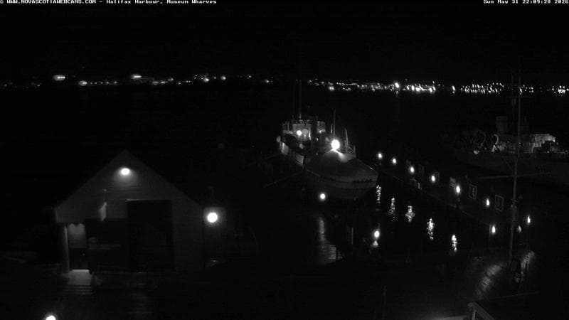Museum Wharves