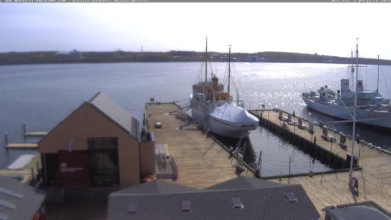 Museum Wharves